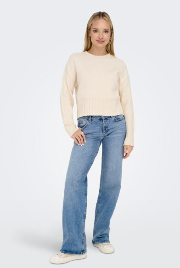 ONLJUICY LW WIDE LEG DNM REA365