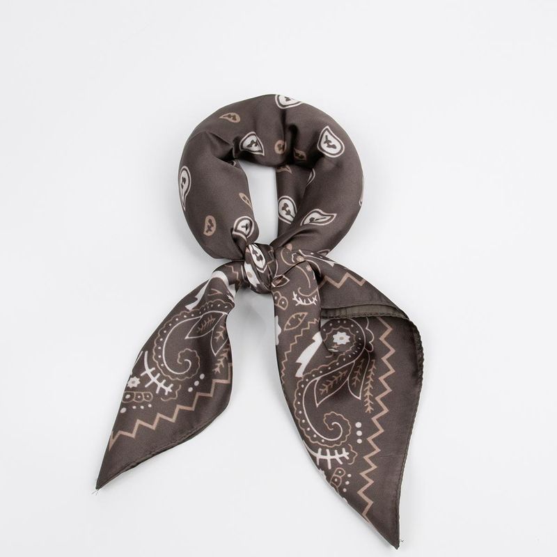 Scarf Paisley Brun